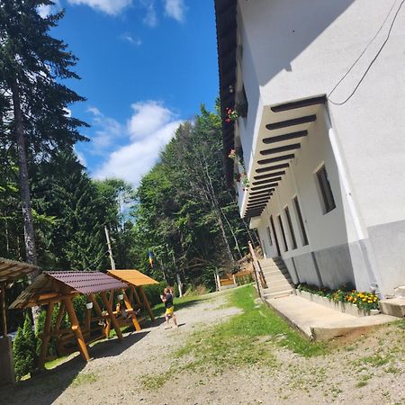 Cabana Valea Bradului Nucşoara Eksteriør billede