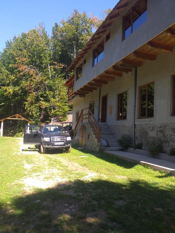 Cabana Valea Bradului Nucşoara Eksteriør billede