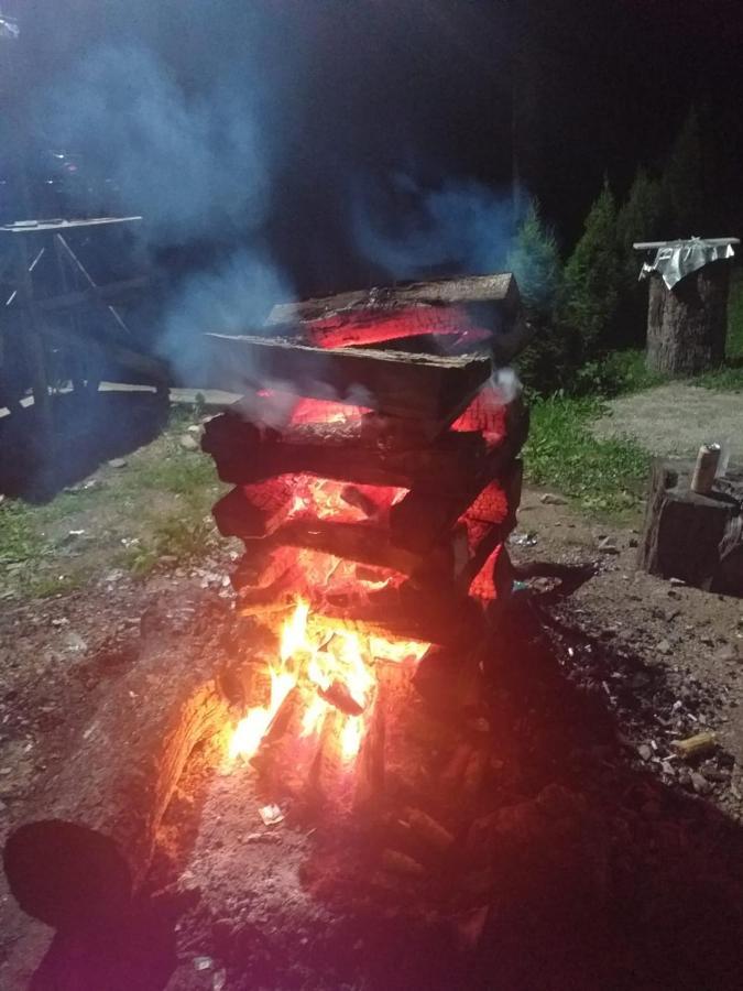 Cabana Valea Bradului Nucşoara Eksteriør billede